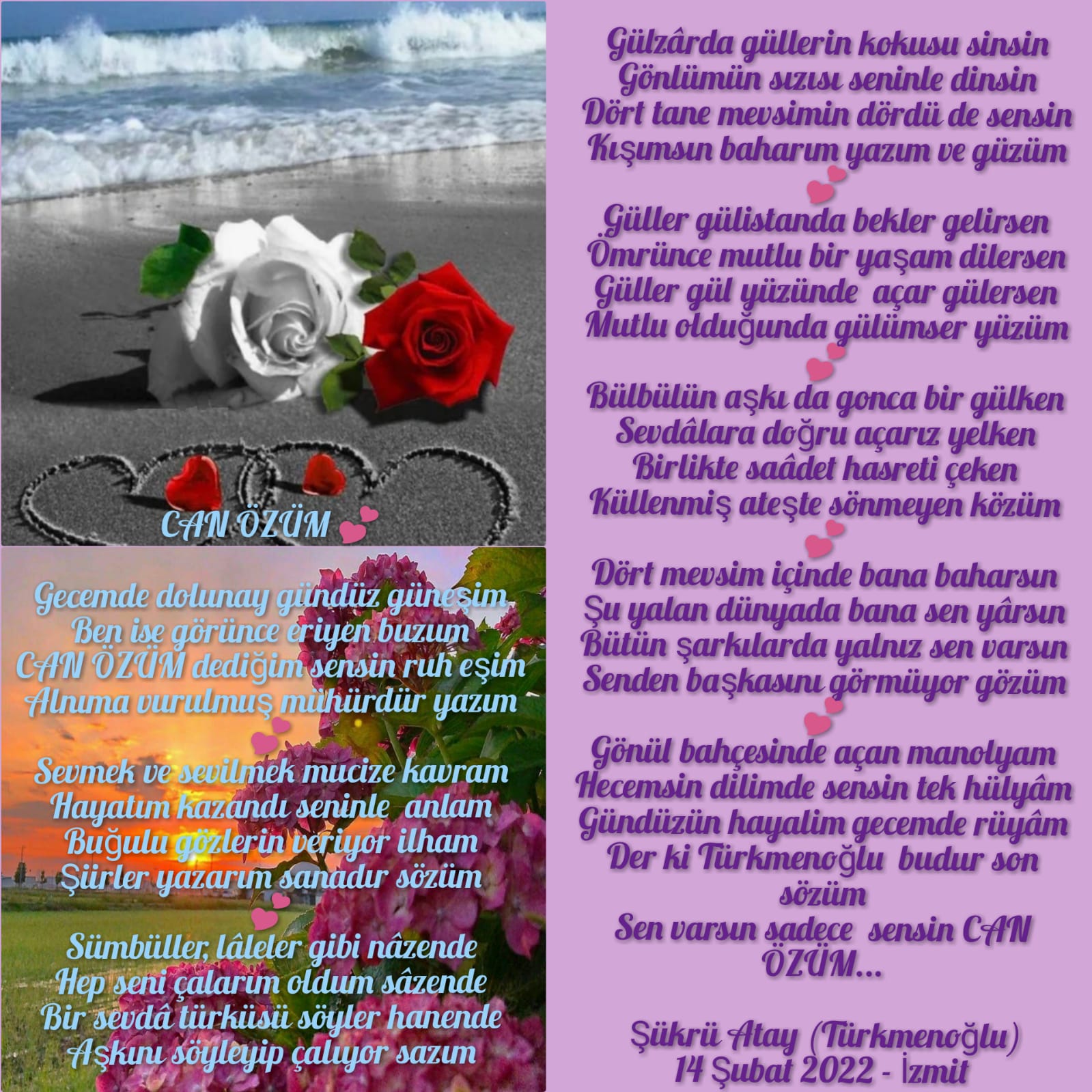 Can özüm