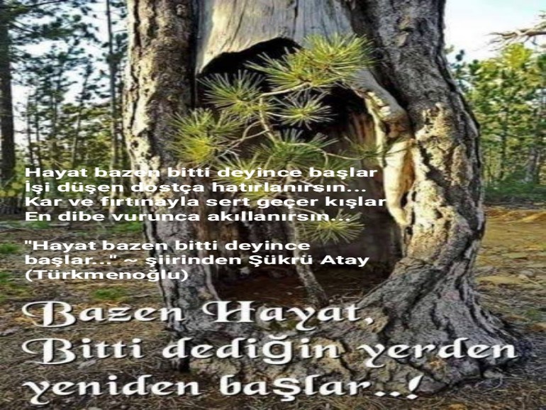 HAYAT BAZEN BİTTİ DEYİNCE BAŞLAR...