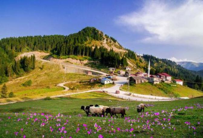 KÖYÜM DE DOĞA