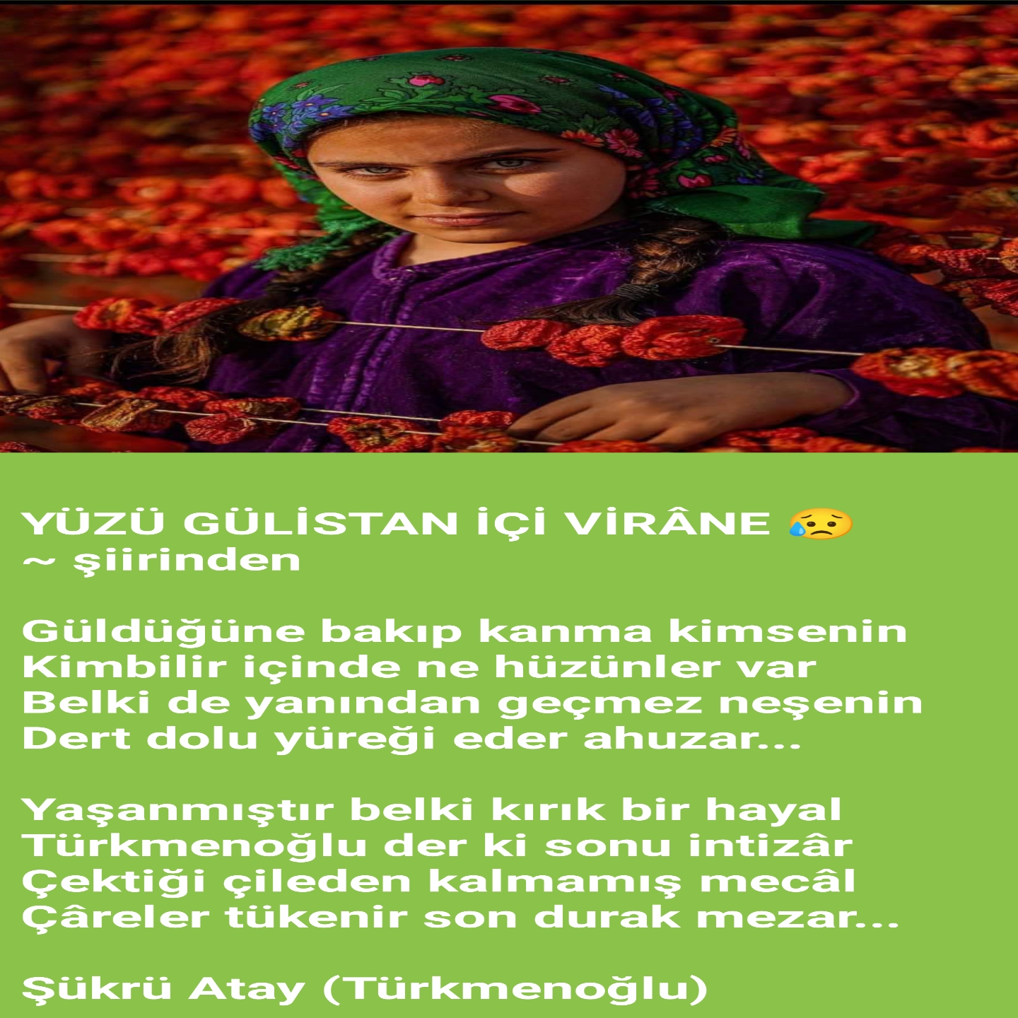 YÜZÜ GÜLİSTAN İÇİ VİRÂNE