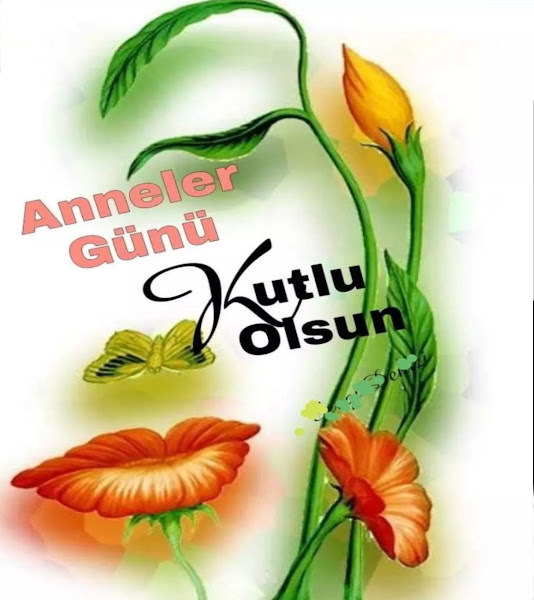 ANNE