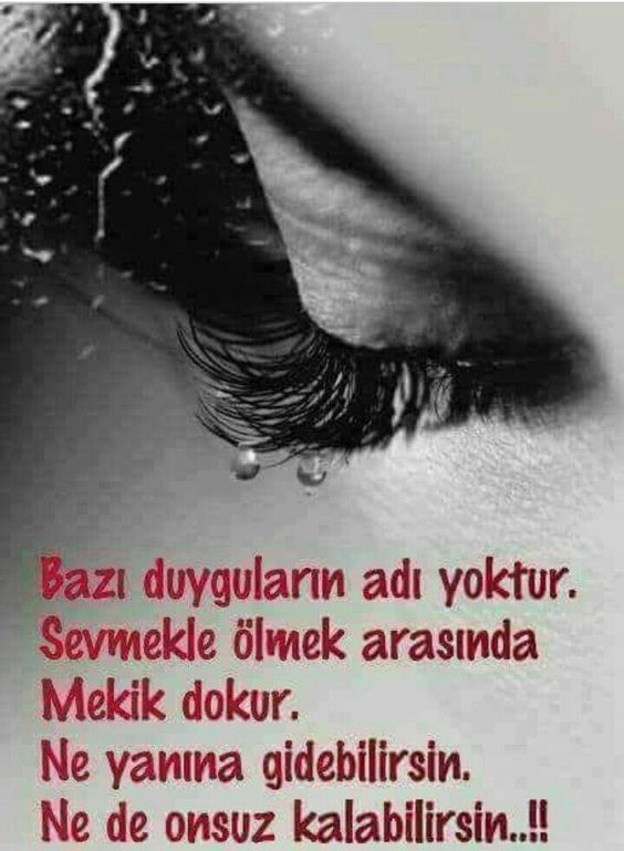 BU HAYATA KÜSMÜŞÜM