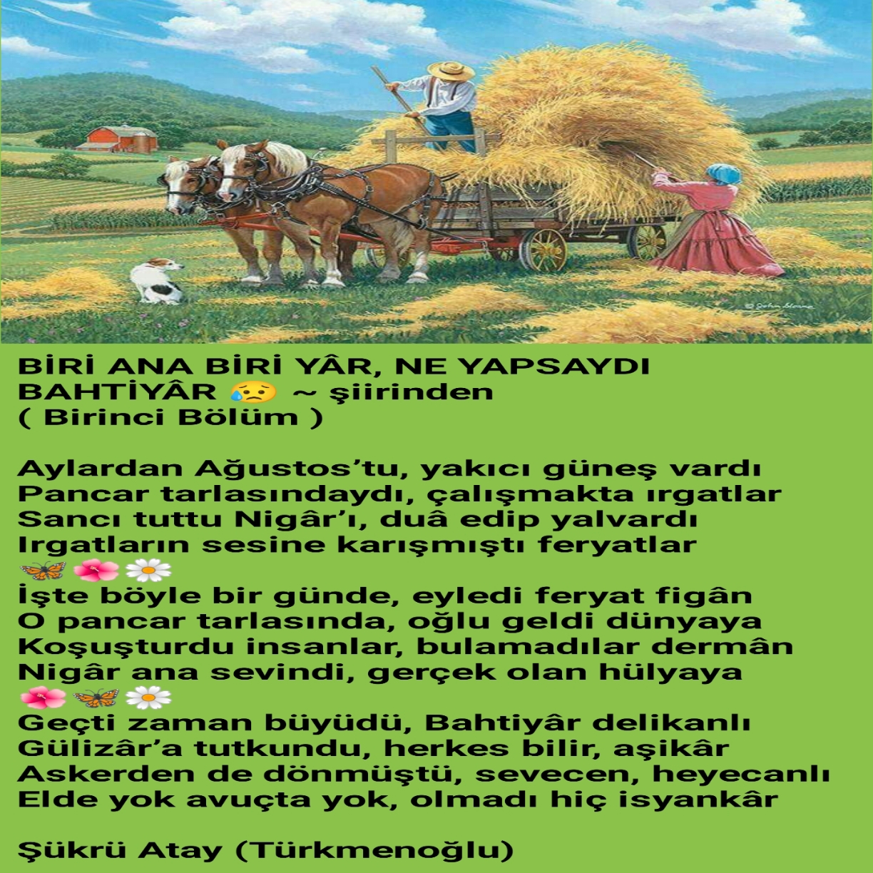 BİRİ ANA BİRİ YÂR (1)