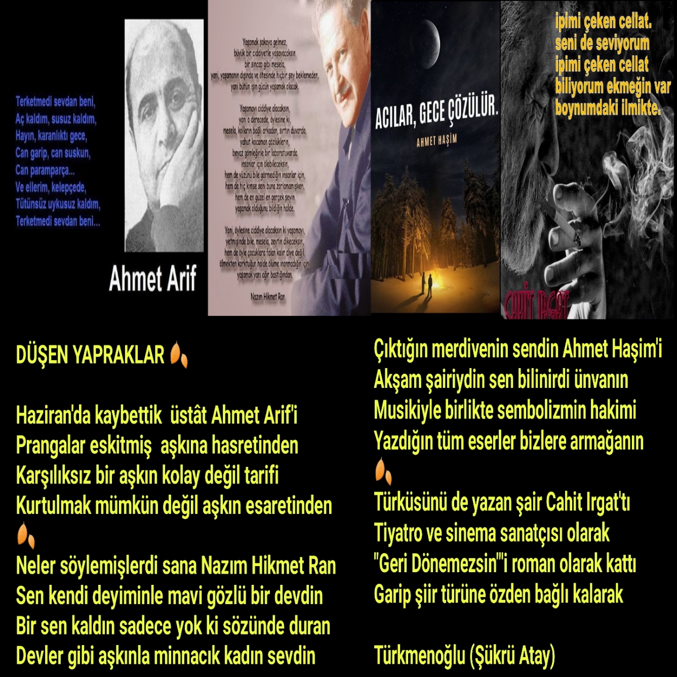 DÜŞEN YAPRAKLAR
