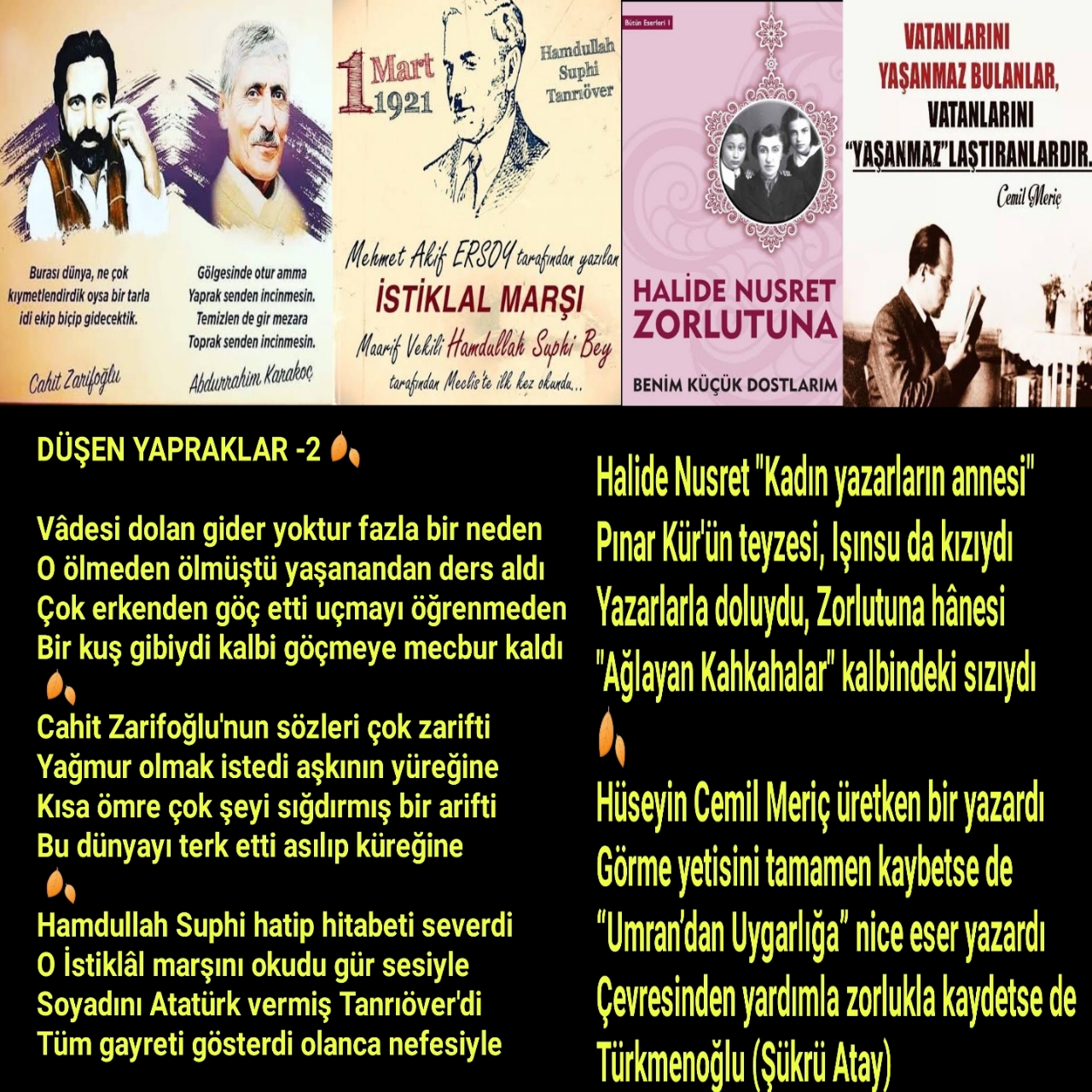 DÜŞEN YAPRAKLAR -2