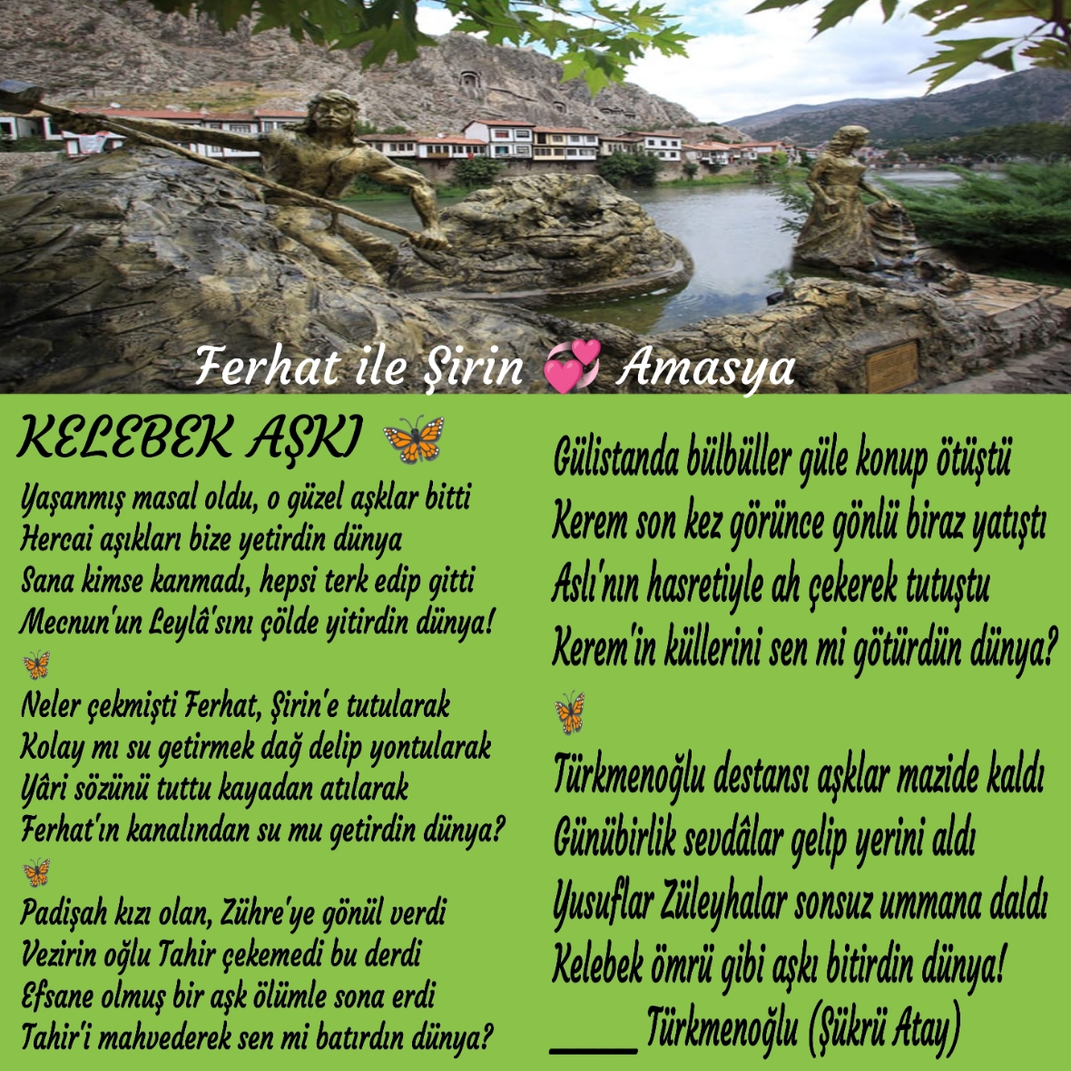 KELEBEK AŞKI
