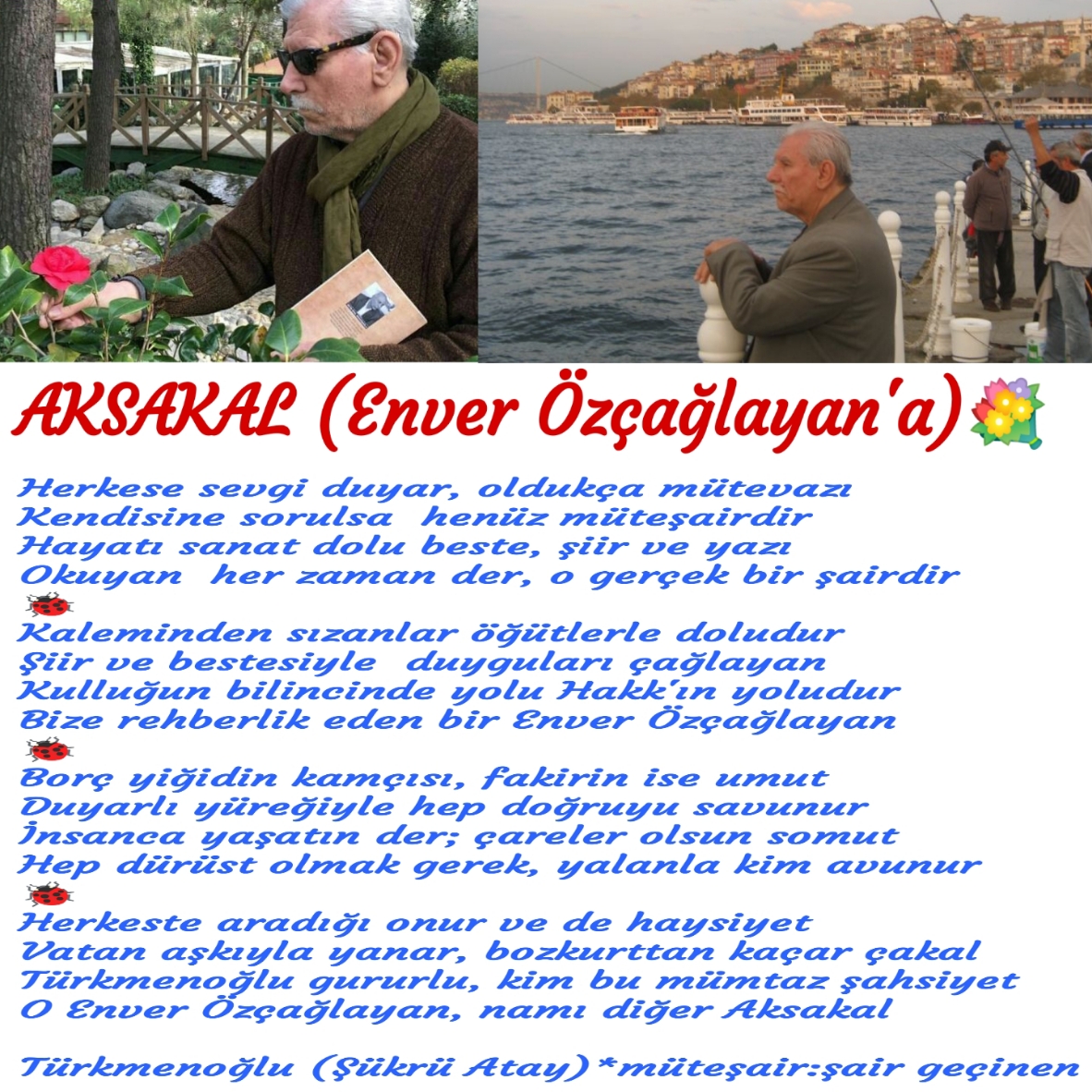 AKSAKAL (Enver Özçağlayan'a)