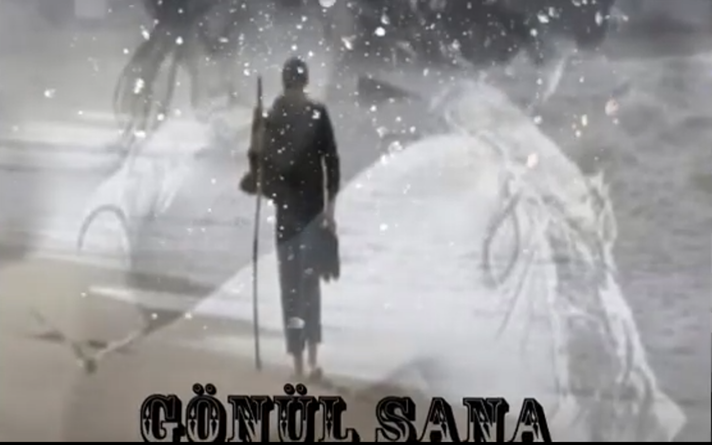 GÖNÜL SANA BİR NASİHAT EDEYİM