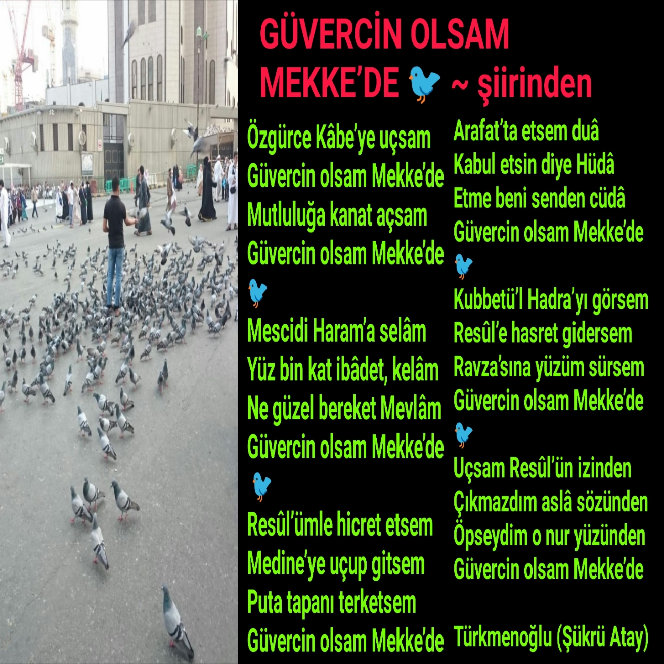 GÜVERCİN OLSAM MEKKE’DE