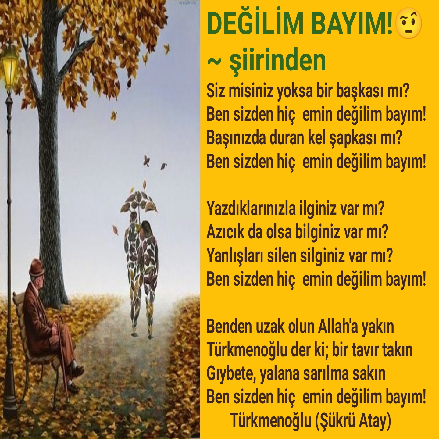 DEĞİLİM BAYIM!