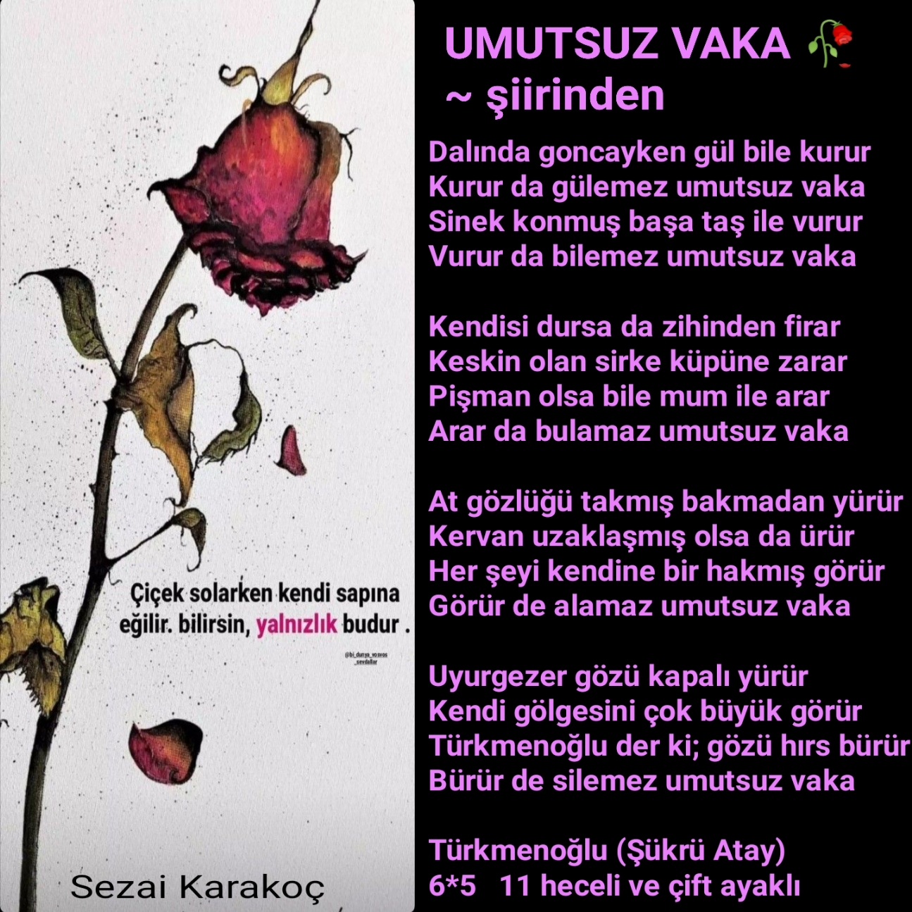 UMUTSUZ VAKA