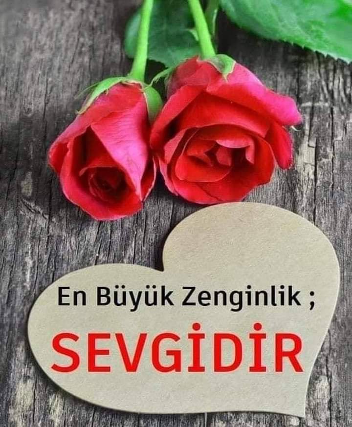 YAŞAYABİLİR MİSİN ?