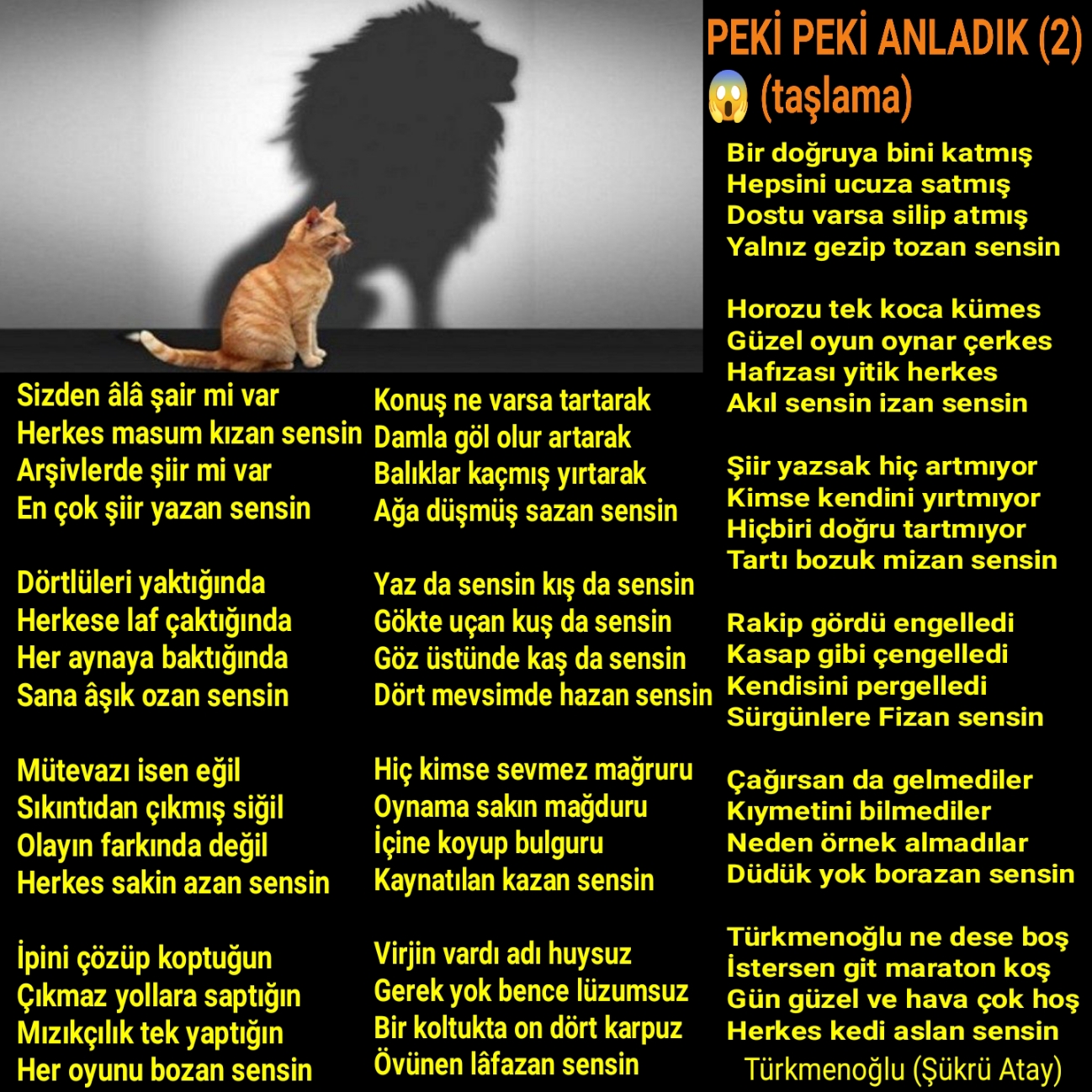 PEKİ PEKİ ANLADIK / TAŞLAMA