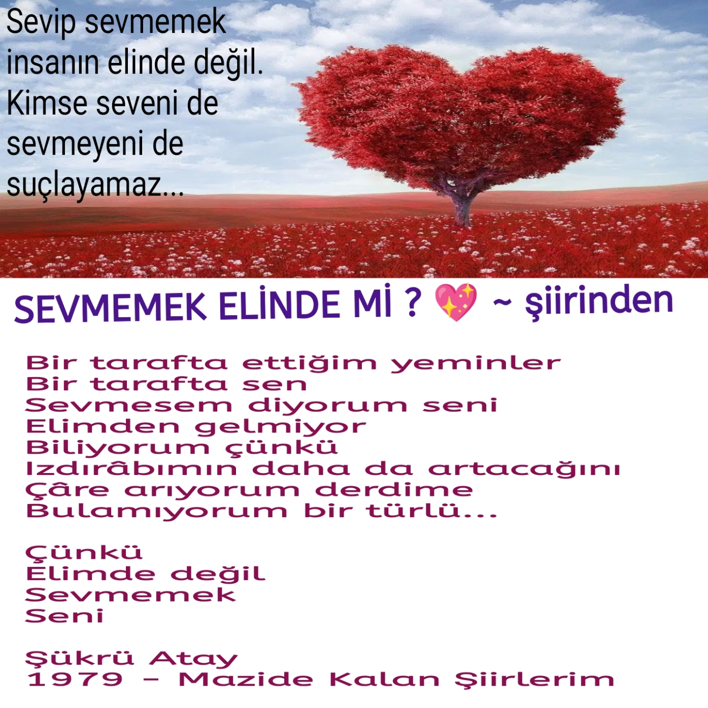 SEVMEMEK ELİNDE Mİ