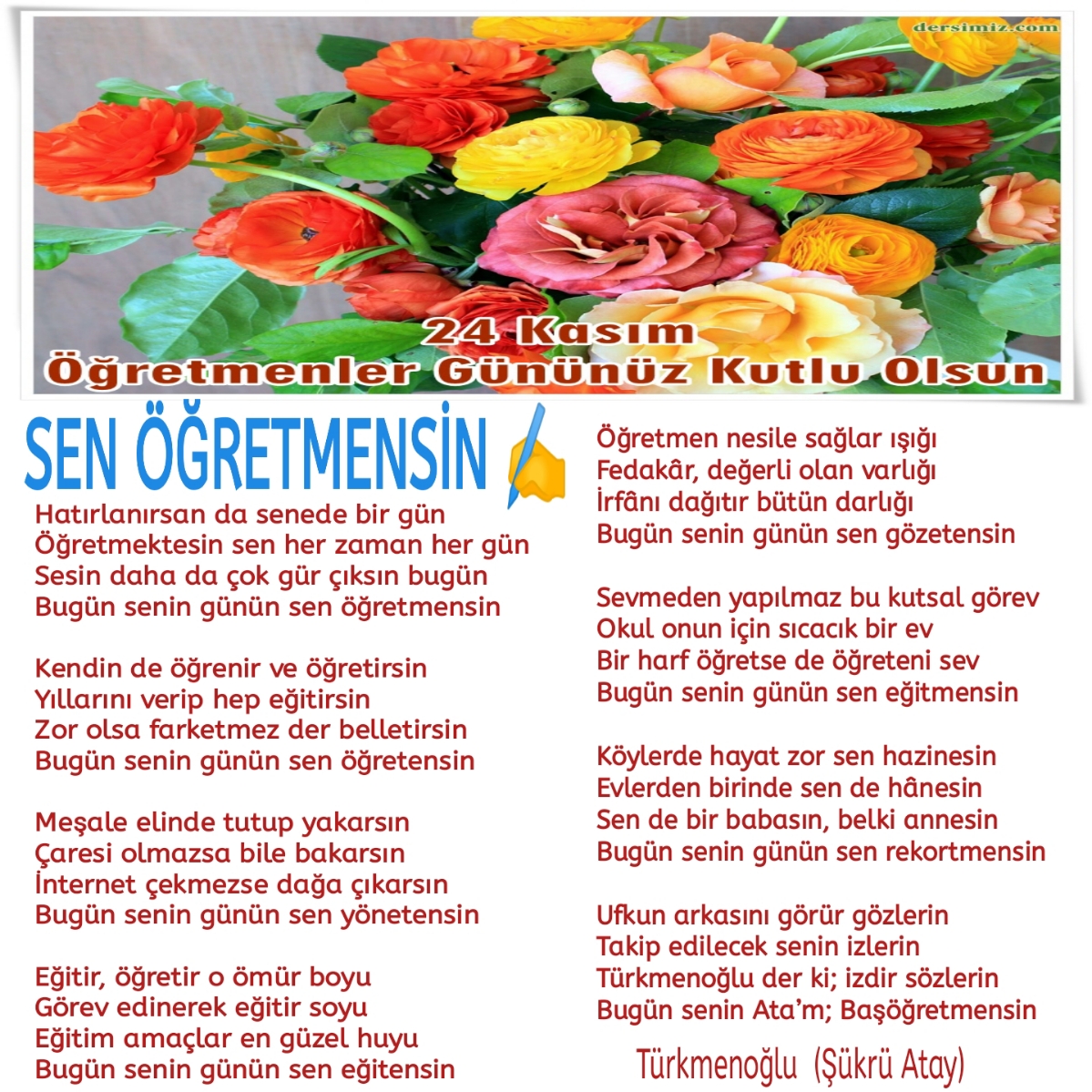 SEN ÖĞRETMENSİN