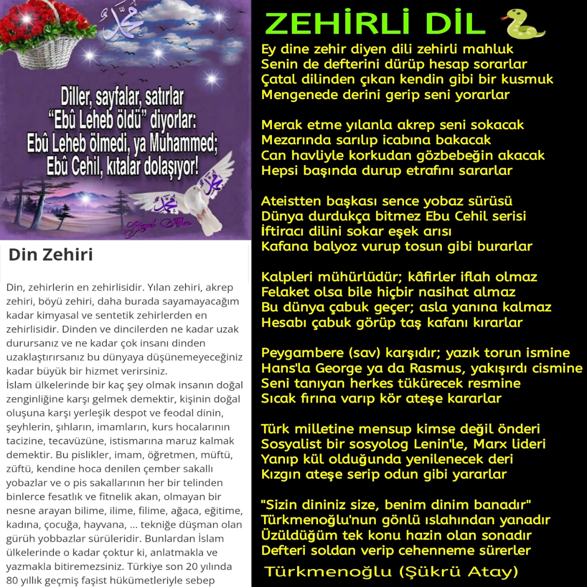 ZEHİRLİ DİL
