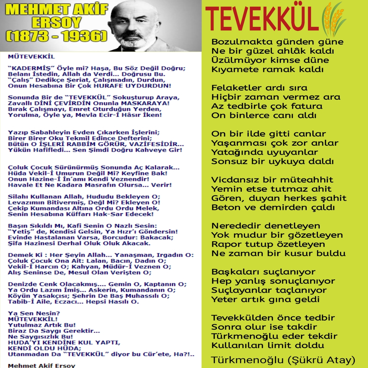 TEVEKKÜL