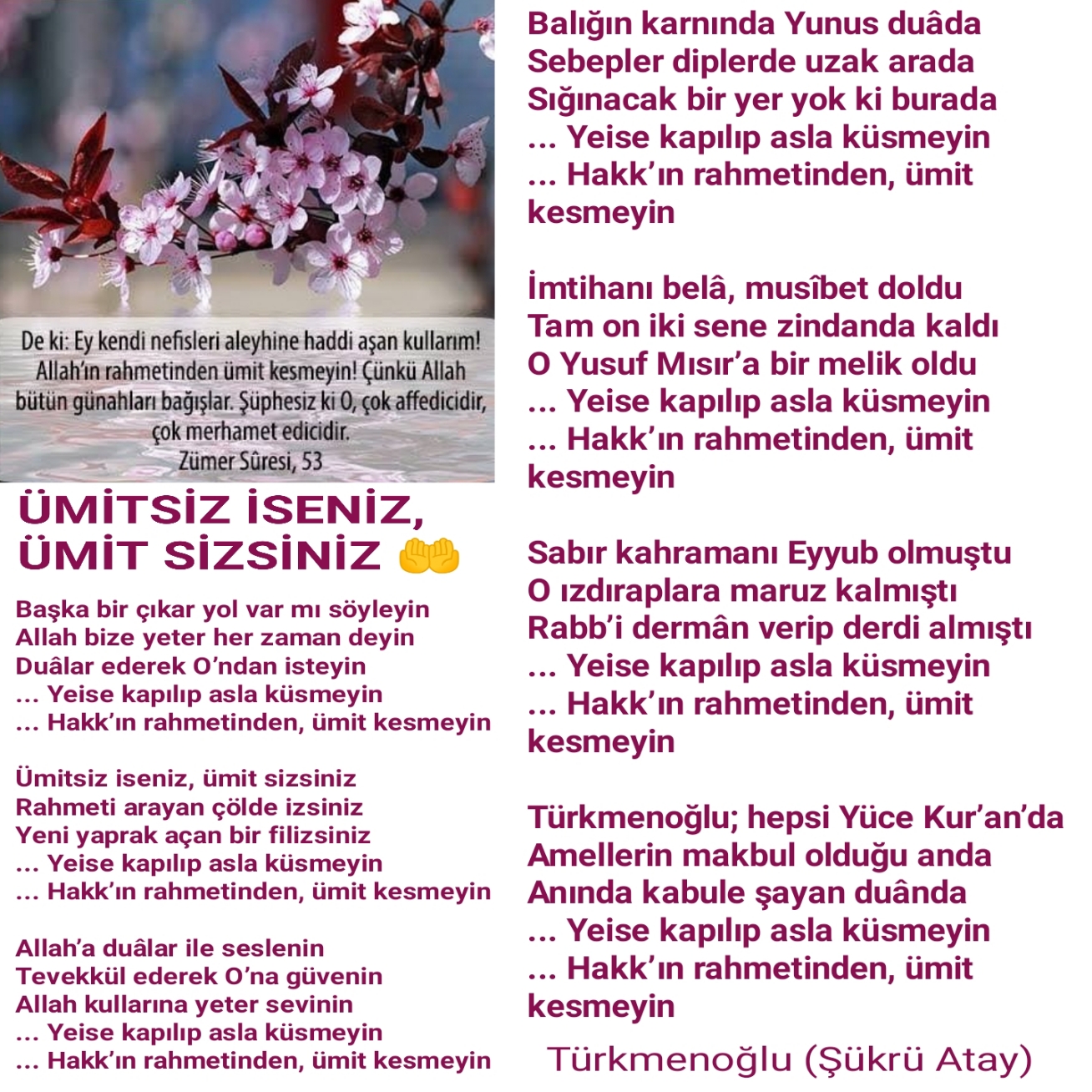 ÜMİTSİZ İSENİZ, ÜMİT SİZSİNİZ