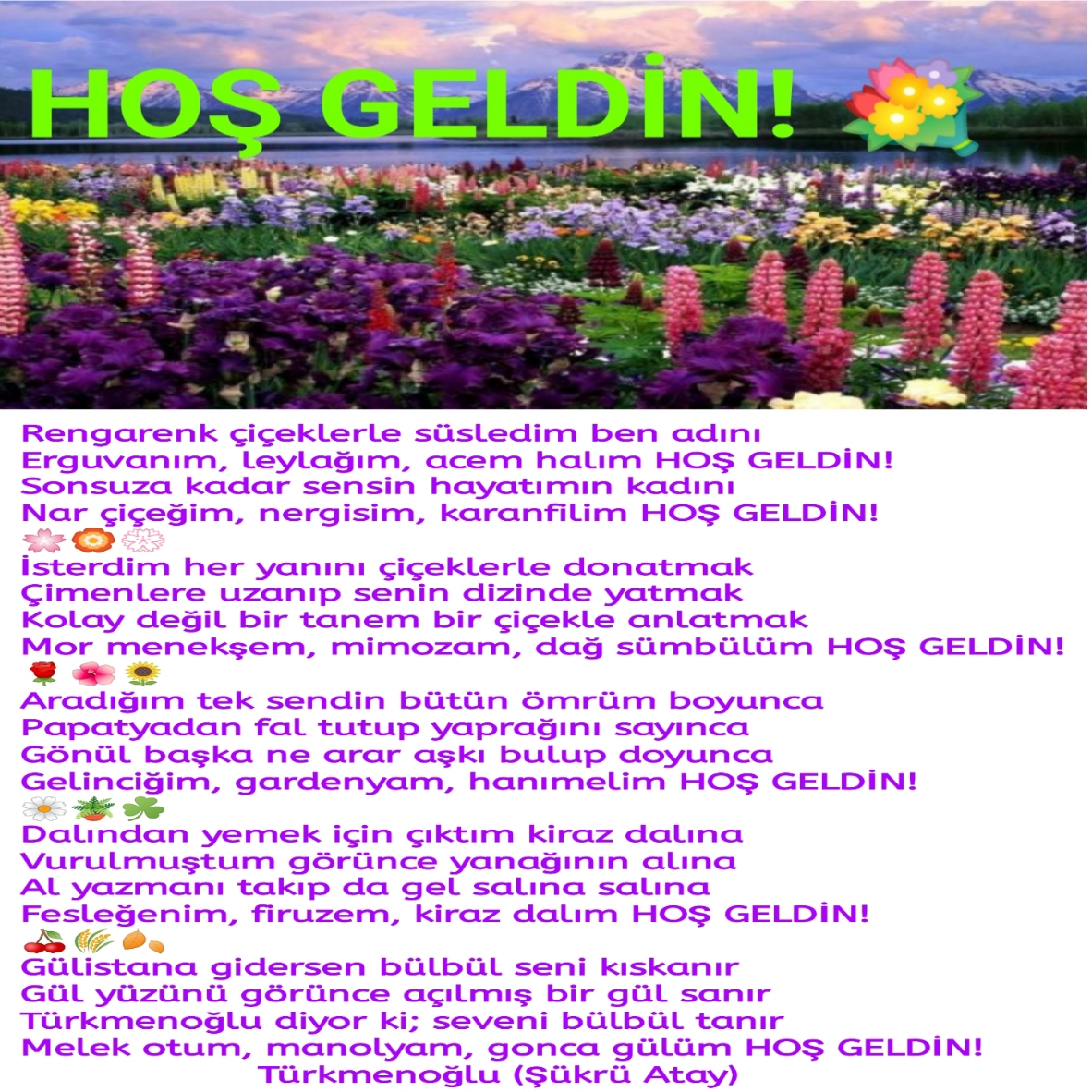HOŞ GELDİN!