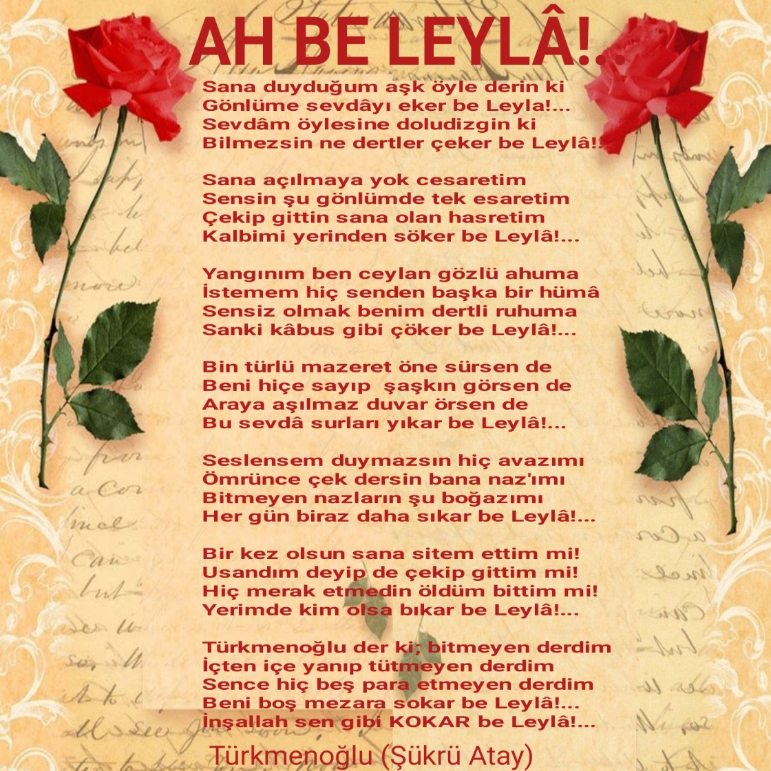 AH BE LEYLÂ!..