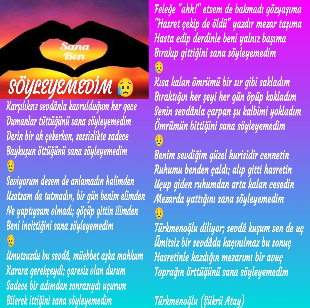 SÖYLEYEMEDİM