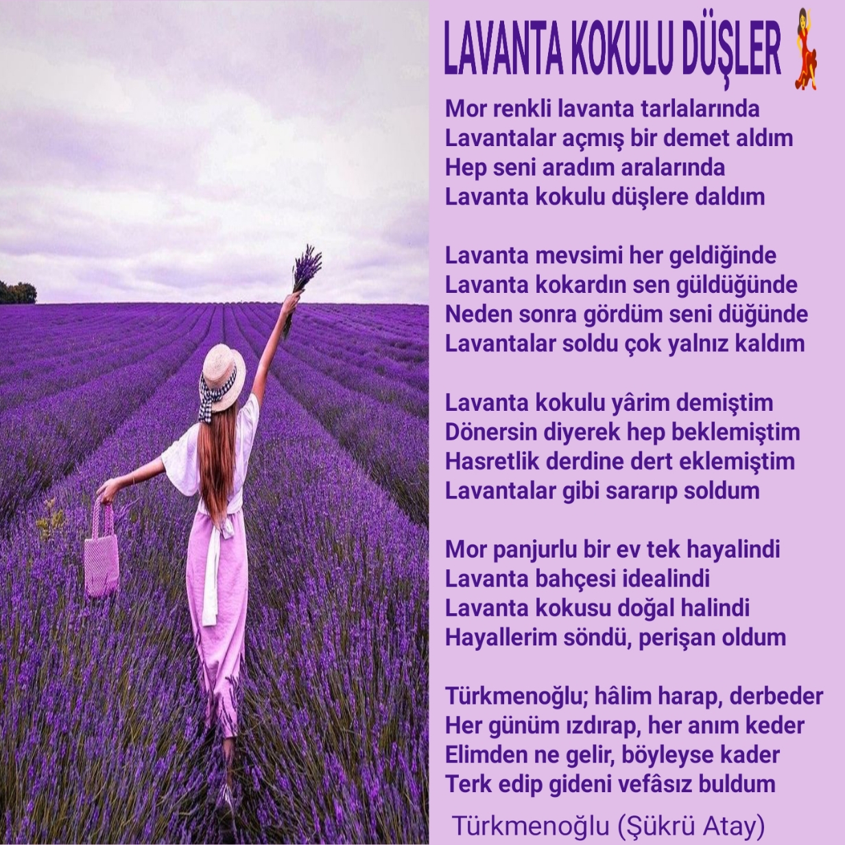 LAVANTA KOKULU DÜŞLER
