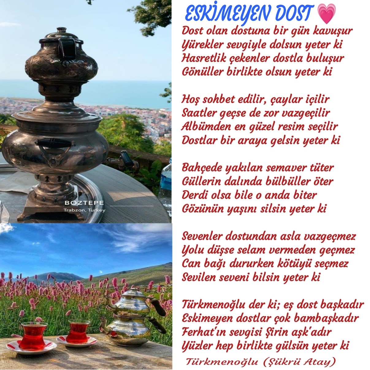 ESKİMEYEN DOST