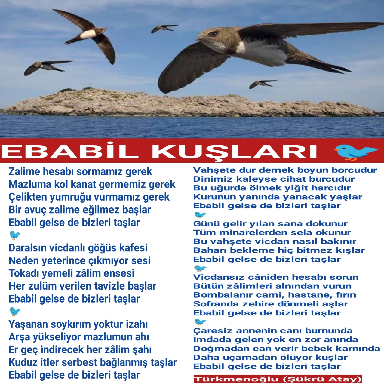 EBABİL KUŞLARI