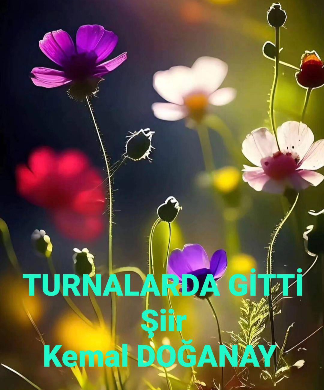 TURNALARDA GİTTİ