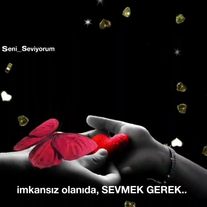 İSTER SEV İSTER SEVME