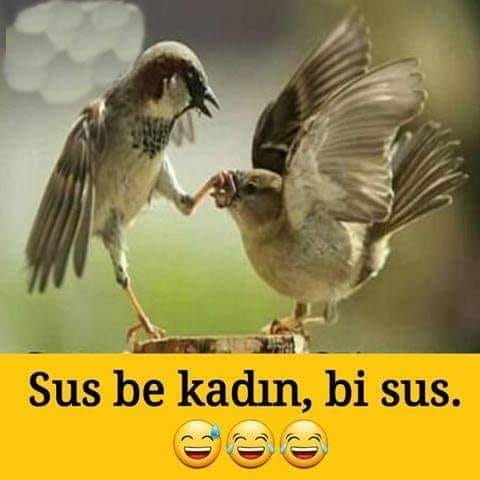 GÜLERKEN AĞLATIR KADIN MİLLETİ