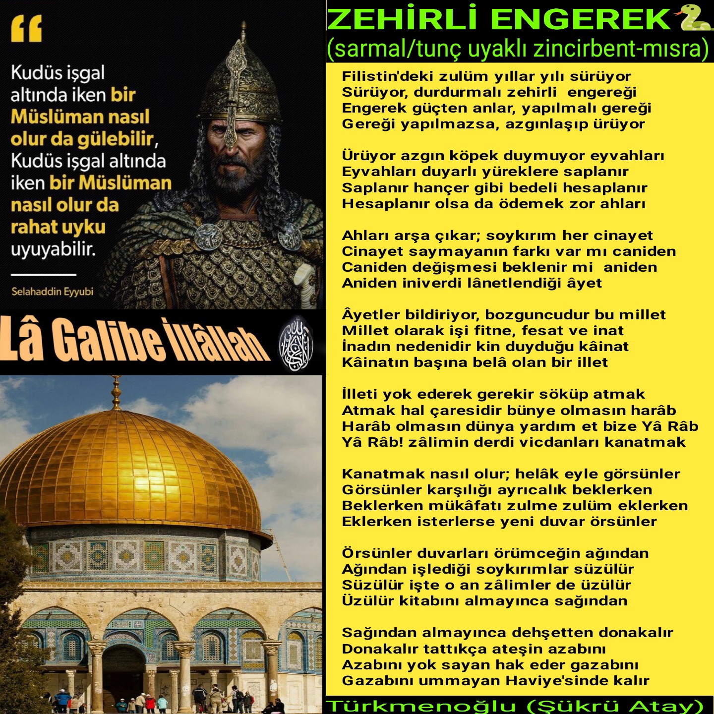 ZEHİRLİ ENGEREK